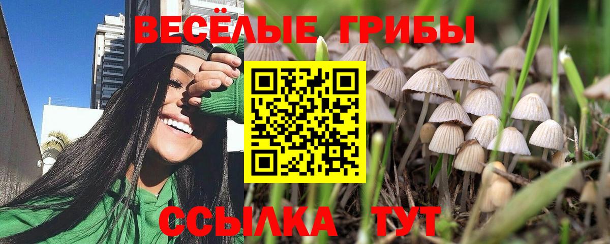 Корсаков  Псилоцибиновые грибы MAGIC MUSHROOMS  Вход с VPN 