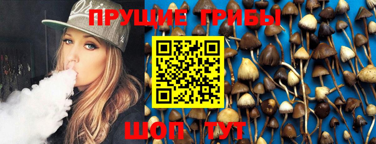 Псилоцибиновые грибы ЛСД Корсаков
